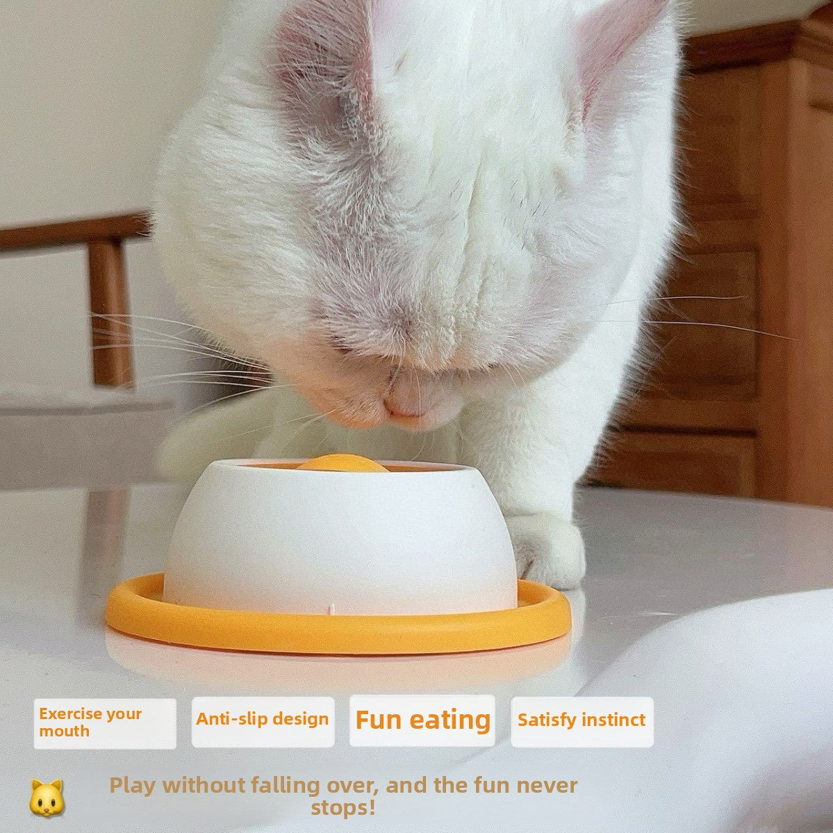 Cat & Dog Slow Feeder Toy